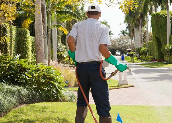 About Midlothian VA Pest Control Pros
